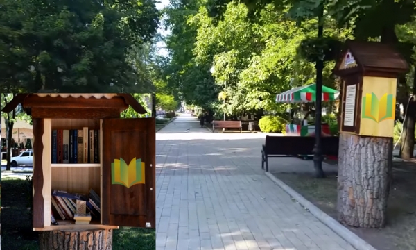 Книжная гавань: отдадим книги в добрые руки!