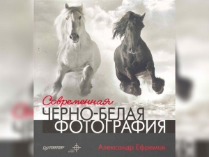 «Современная черно-белая фотография» А.А. Ефремов